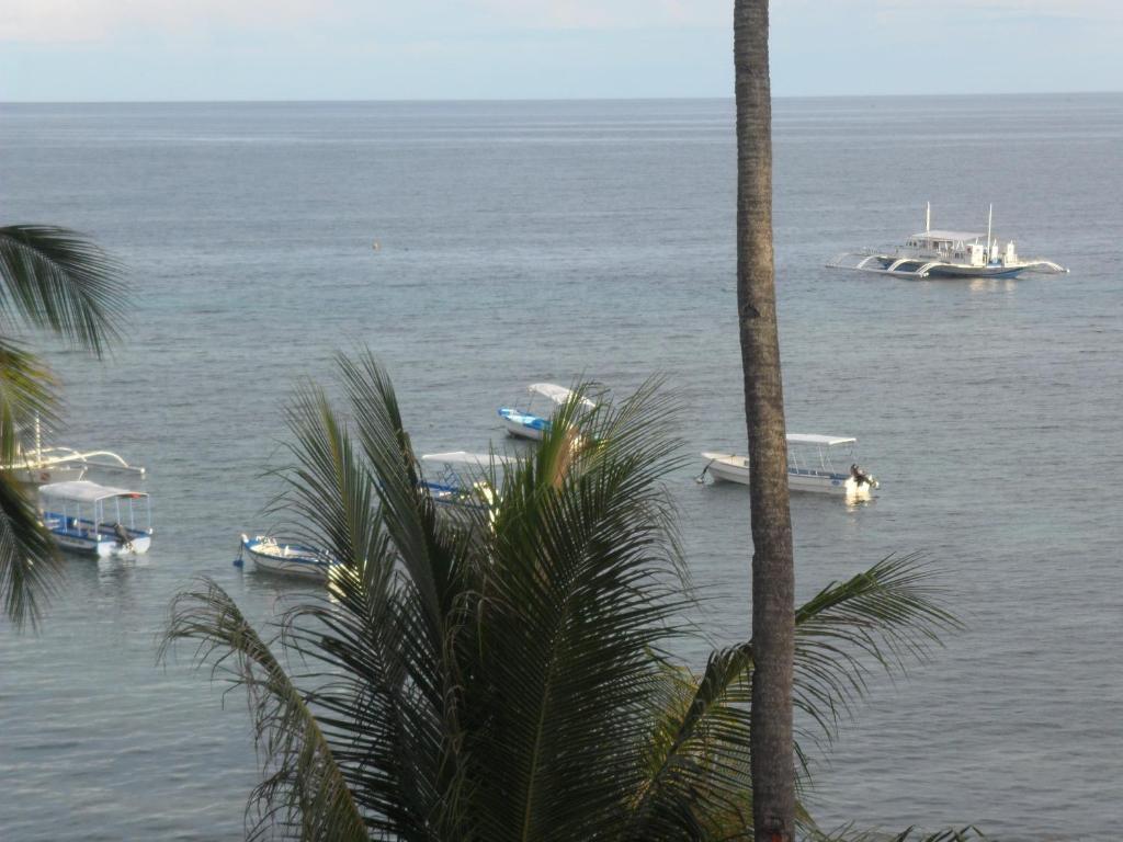 Hayahay Resort Panglao Bagian luar foto